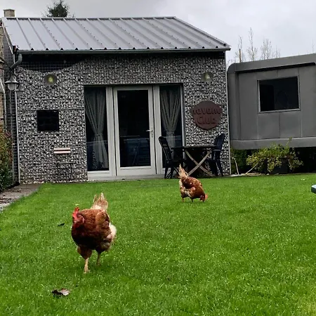 Dailly Insolite * クーヴァン