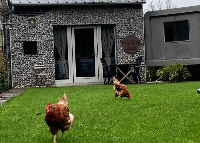 Dailly Insolite * Couvin