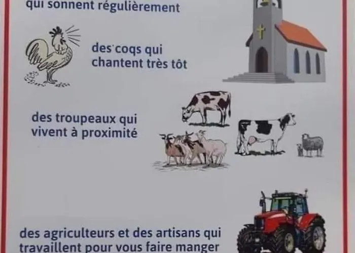 Appartamento Dailly Insolite Couvin